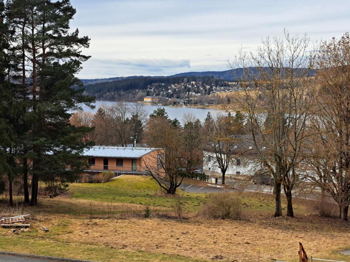 Apartman Max Lipno Lipno nad Vltavou Exterior foto